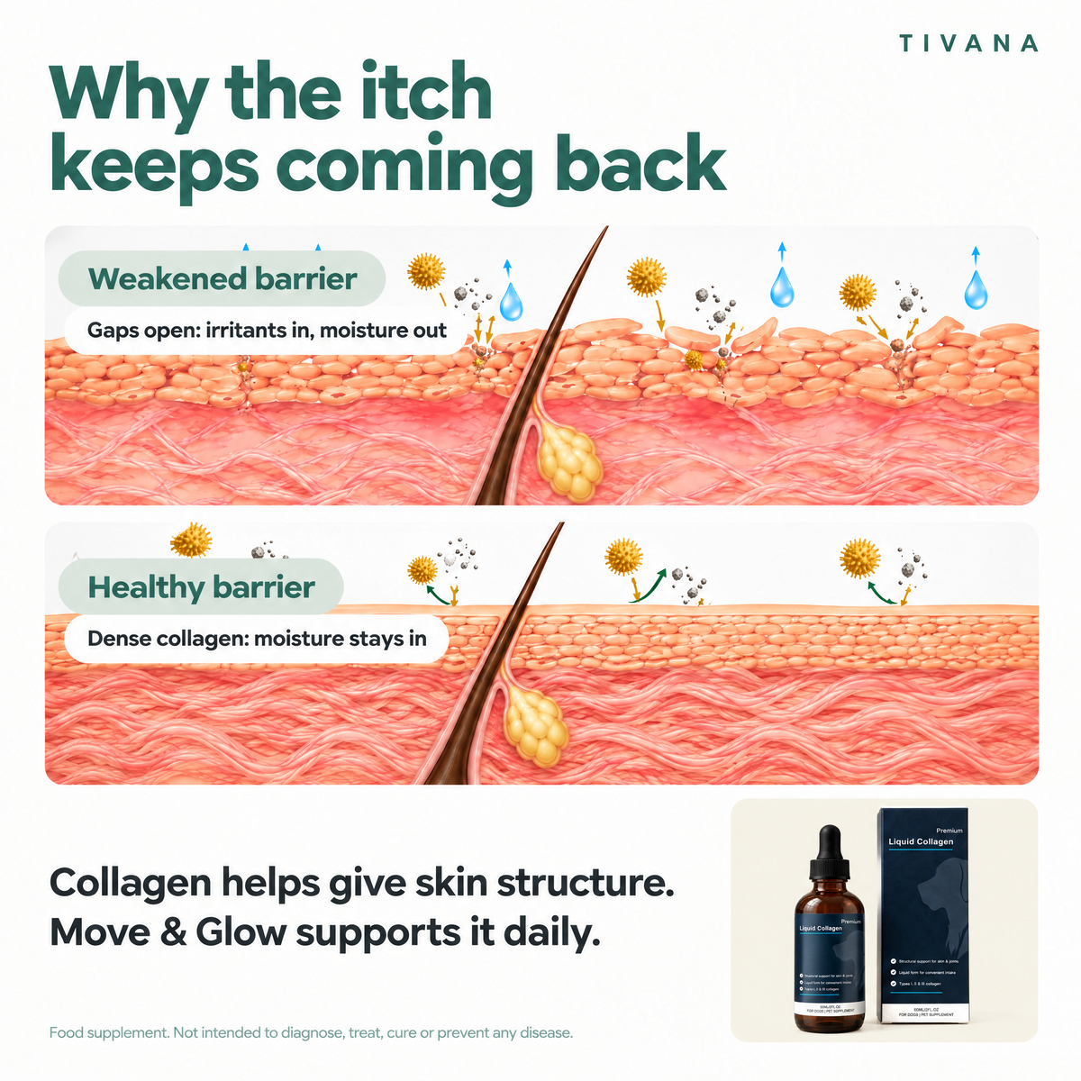 Illustration comparing a weakened skin barrier, where gaps let irritants in and moisture out, with a healthy skin barrier with dense collagen that holds moisture in.