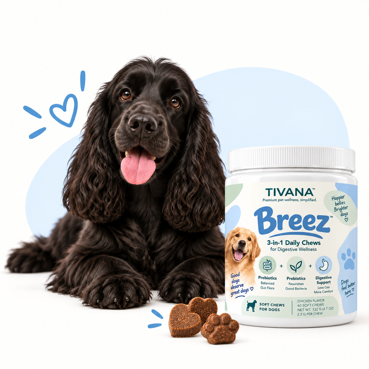 Breez digestive chews with dog
