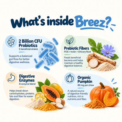 Breez — Less Gas. Less Odors. More Comfort.