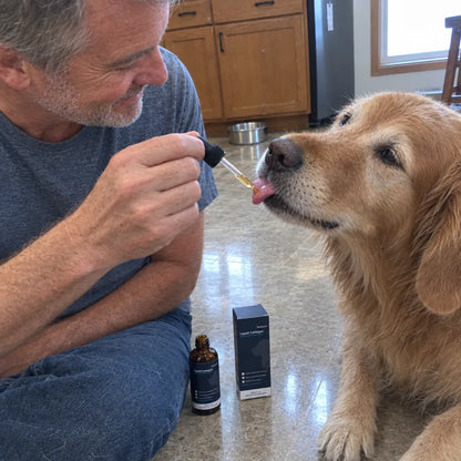 Move & Glow: Liquid Collagen for Dogs