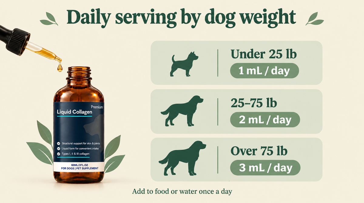 Move & Glow daily serving by dog weight