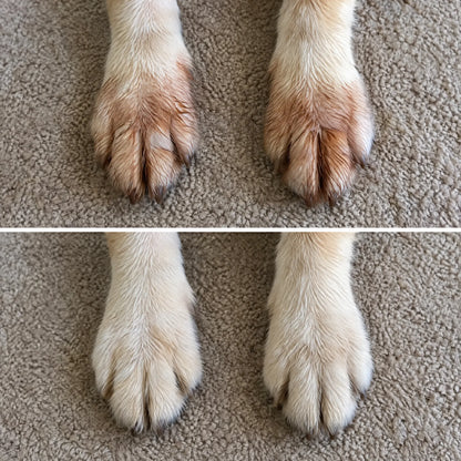 Move & Glow: Liquid Collagen for Dogs